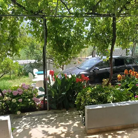 Donald Villa Borş